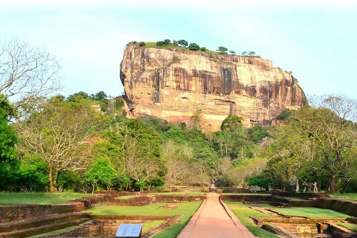 Sigiriya Rock, Dambulla Cave Temple And Minneriya Safari