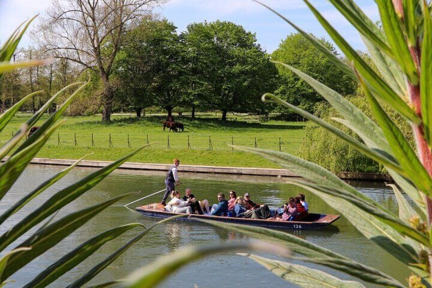 Shared Chauffeured Punt Tours in Cambridge