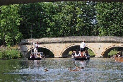 Shared Chauffeured Punt Tour