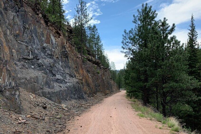 Private Mickelson Trail Bicycling Tour