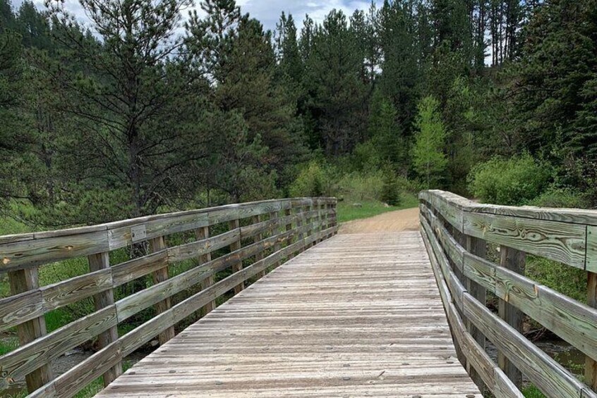 Private Mickelson Trail Bicycling Tour