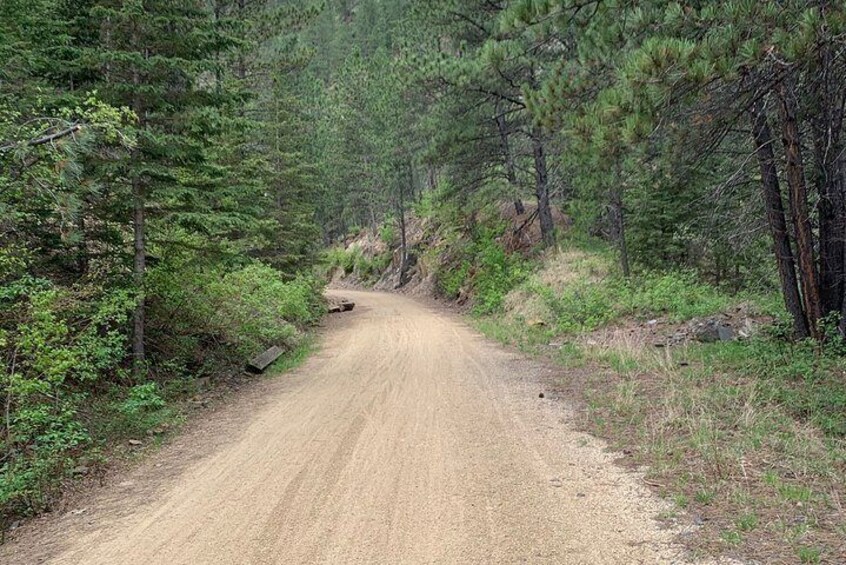 Private Mickelson Trail Bicycling Tour