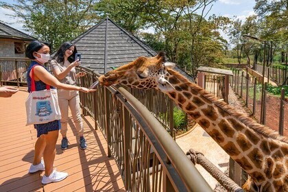 Romantic Tour In Nairobi