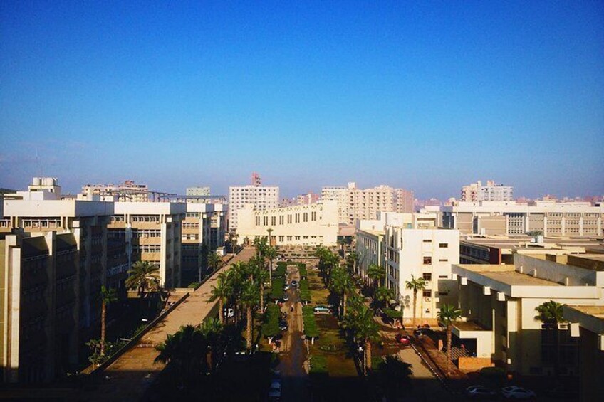The Best Of Tanta Walking Tour