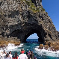 Bay of Islands, Hole in the Rock and Waitangi Treaty Grounds