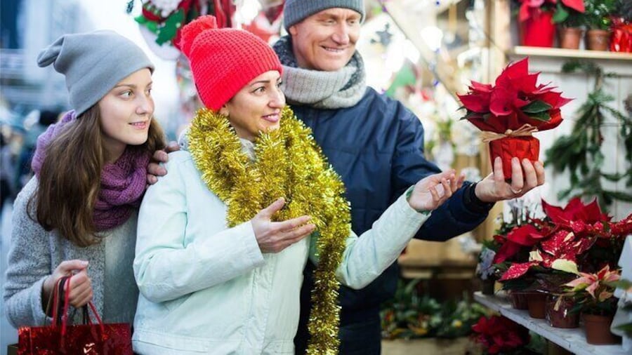 Fun Walking Tour during Christmas in Kilkenny