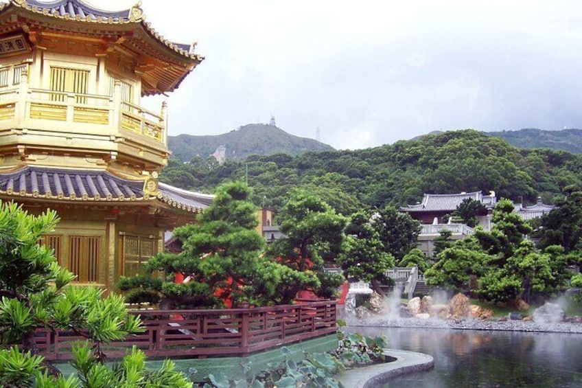 Private Full Day Kowloon District Sightseeing Tour 