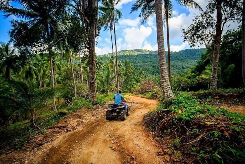 Samui ATV Quad Bike 1 Hour Tour