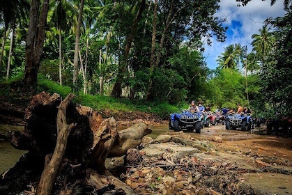 Samui quad bike Quad Bike 1 Hour Tour