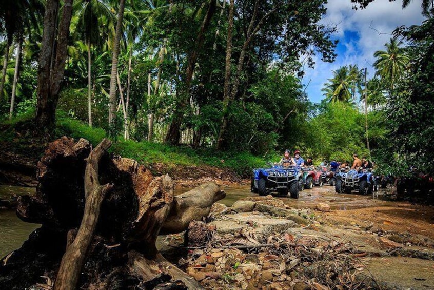 Samui ATV Quad Bike 1 Hour Tour