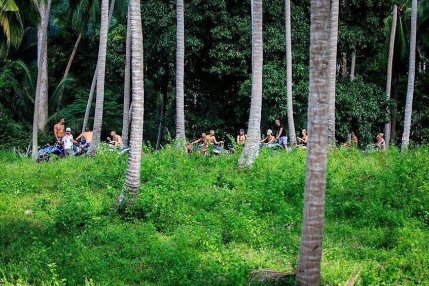 Samui ATV Quad Bike 1 Hour Tour