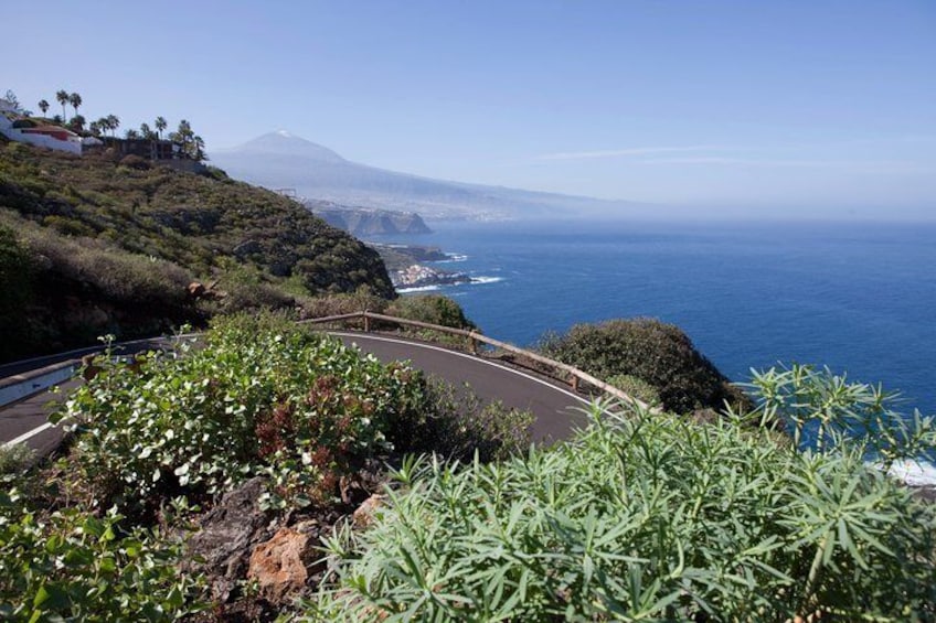 Tenerife north coast