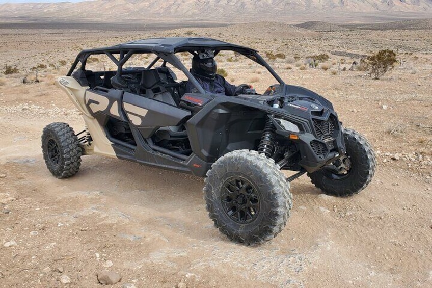 We recently added Can Am's to our inventory of UTV's that include Polaris and Honda.