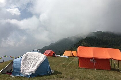 Alojamiento en el campamento australiano de Dhampus Senderismo fácil desde ...