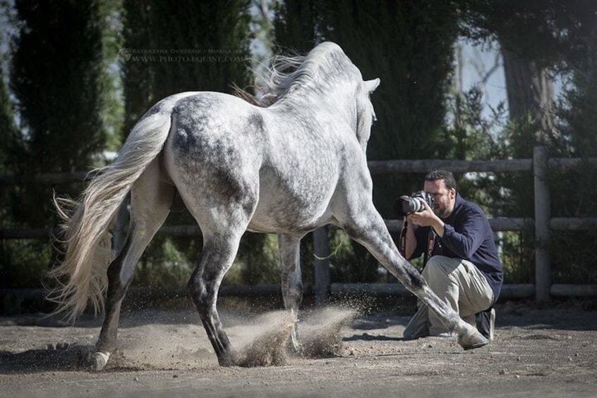 Equestrian Photography Class