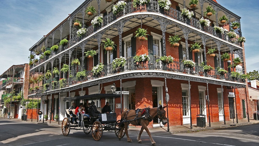New Orleans Pass: 25+ Attractions in 1 Pass