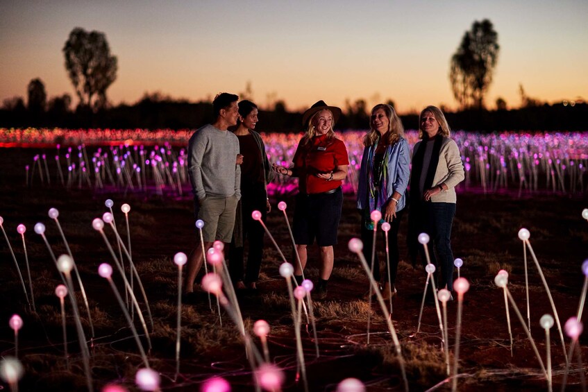 3 Tour Combo including Kata Tjuta, Uluru & Field of Light
