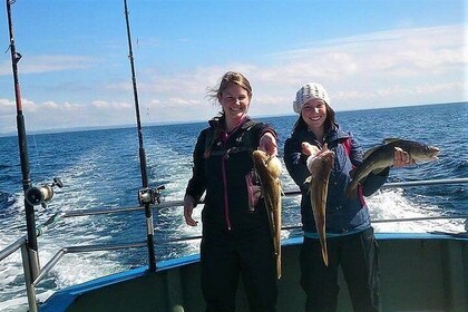 Deep sea fishing Galway Bay. Galway. Private guided. Full / half day.