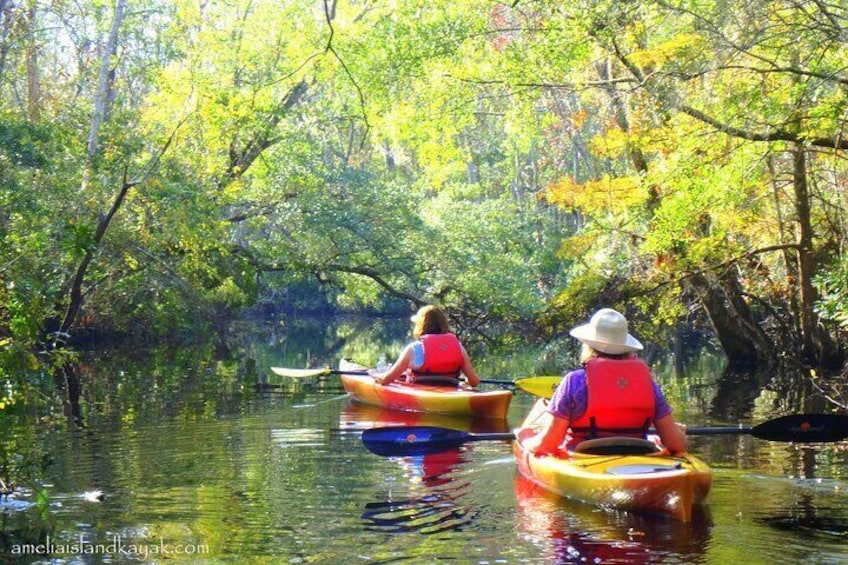 Guided Family Friendly Kayak Tour: Experience Old Florida