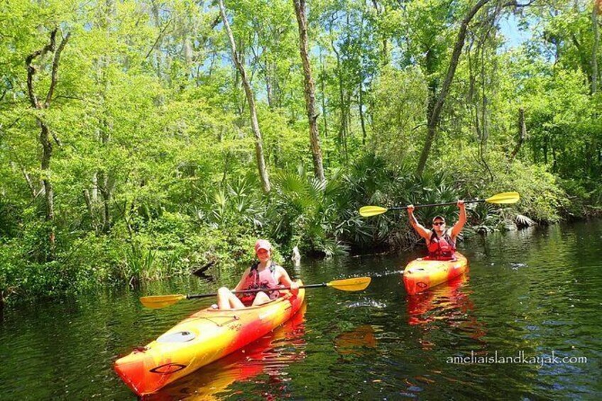 Paddles Up!