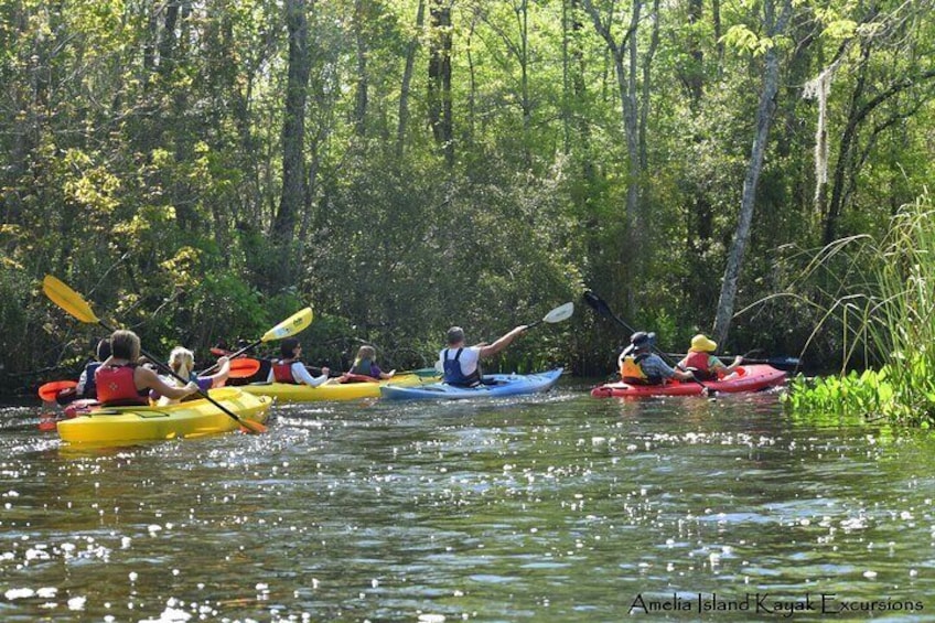 Guided Family Friendly Kayak Tour: Experience Old Florida