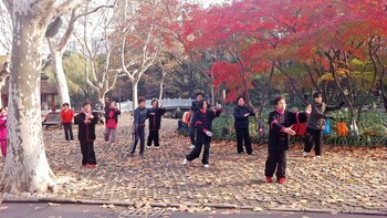 Private Bike Adventure, Tai Chi Lesson & Massage