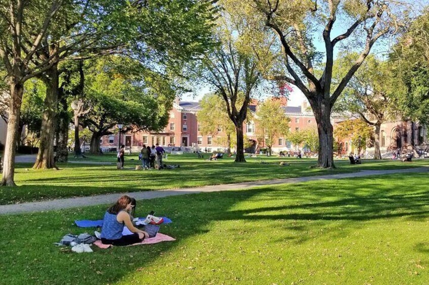 Brown University