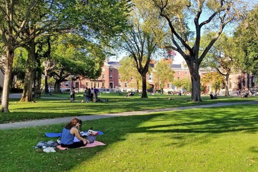 Brown University