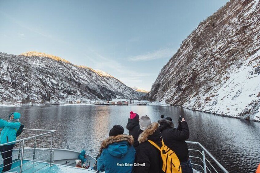 Mostraumen Fjord and Waterfall Cruise