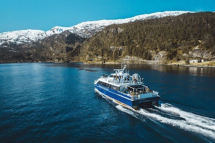 Bootsfahrt auf dem Mostraumen-Fjord
