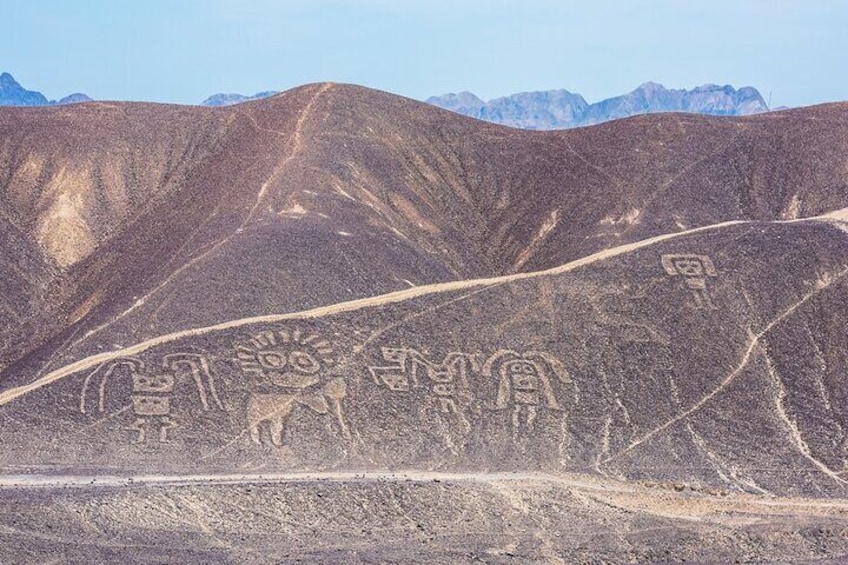 The Nazca Lines, Ballestas Islands, Huacachina Oasis & Dune Buggy Tour (2D/1N)