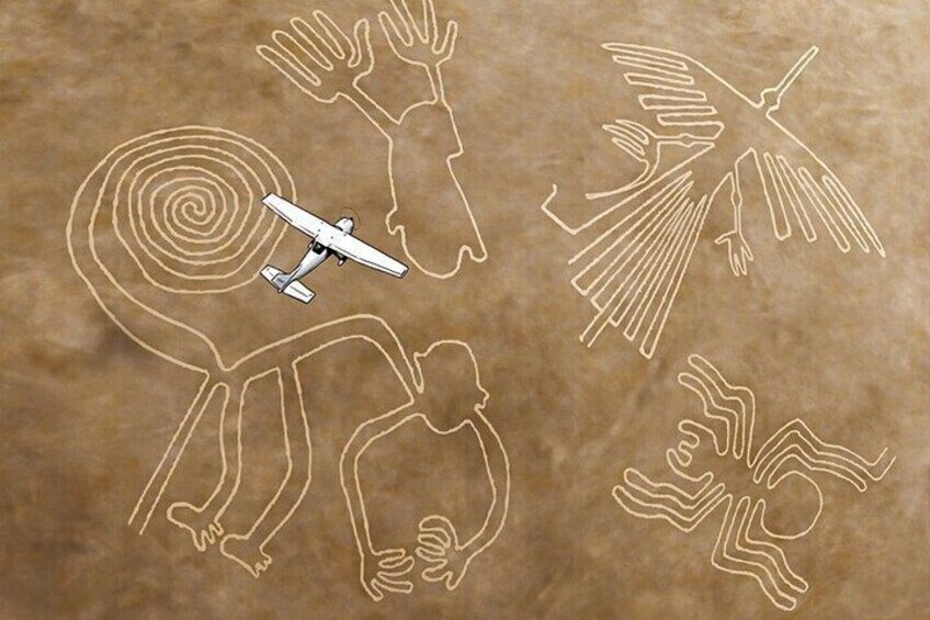 The Nazca Lines, Ballestas Islands, Huacachina, Sandboarding & DuneBuggy (2D/1N)