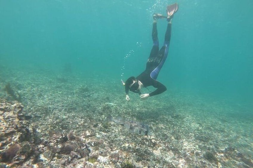 2 Days - Isabela Island Fast Visit