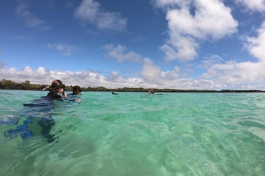 2 Days - Isabela Island Fast Visit