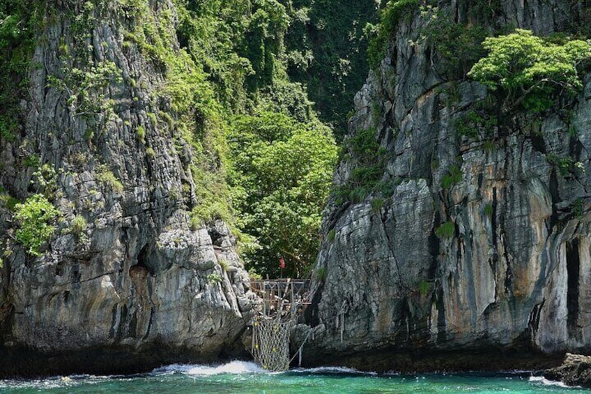 Phi Phi Islands Speedboat Day Tour from Phuket with Buffet Lunch
