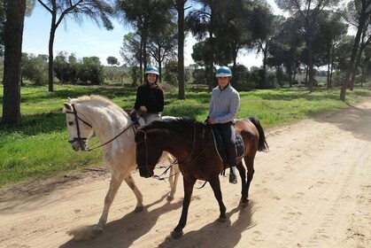 Horseback Riding in Parque Natural Doñana, Sevilla