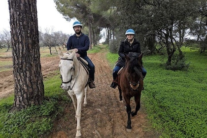 Horseback Riding Exclusive for Couples, in Parque Natural Doñana, Sevilla