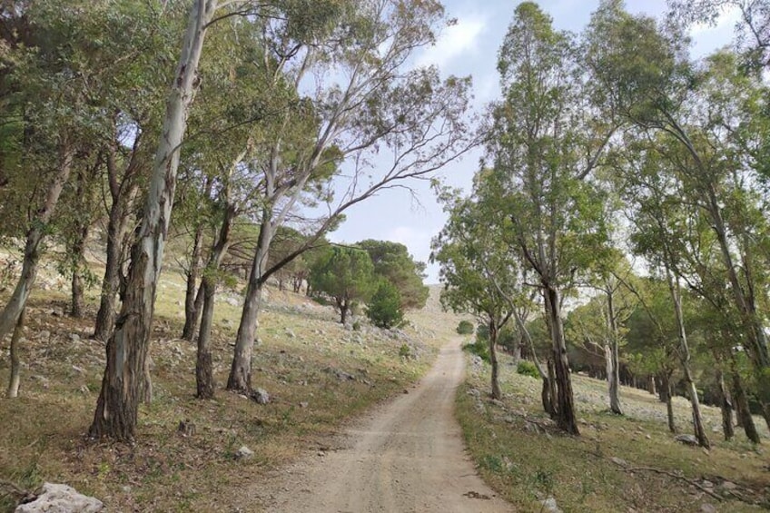 Climbing The Road