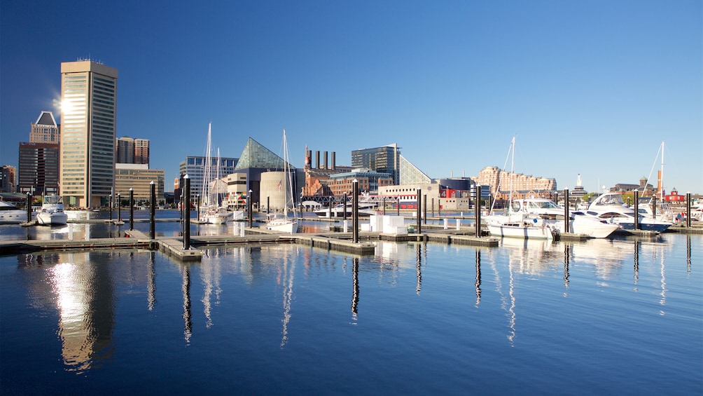 Show item 4 of 5. View of the marina and city in Baltimore
