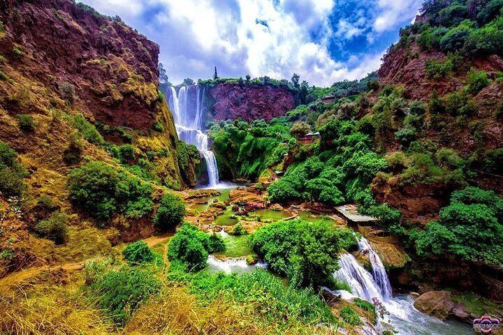 Marrakech: Ouzoud Waterfalls Day Trip & Optional Boat Ride