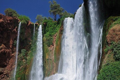 Ouzoud waterfalls day trip excursion from Marrakech