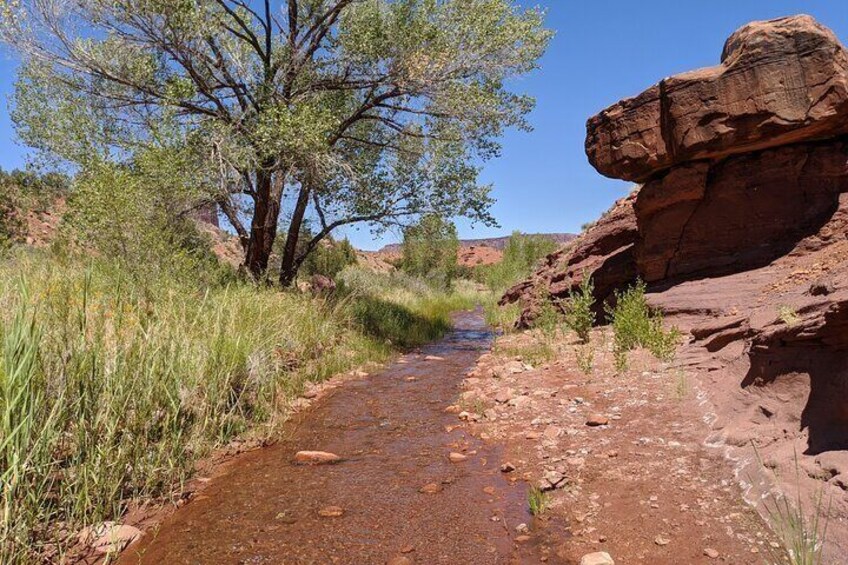 Hike Through An Ankle Deep Creek The Entire Way