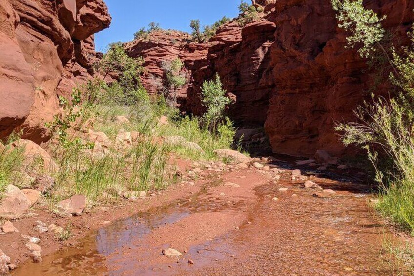 Experience The Canyon Closing In