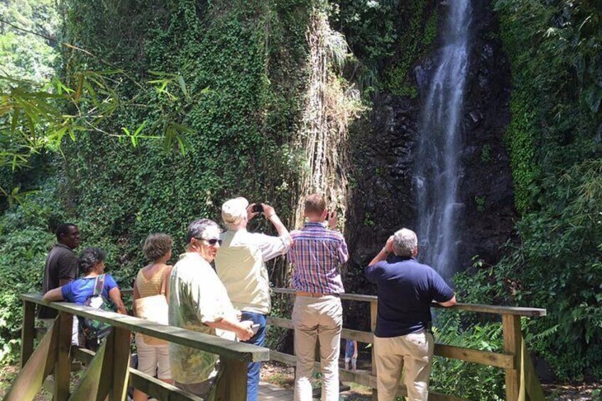 Dark View falls , Wallilabou , Fort Charlotte, Kingstown from IV Tours