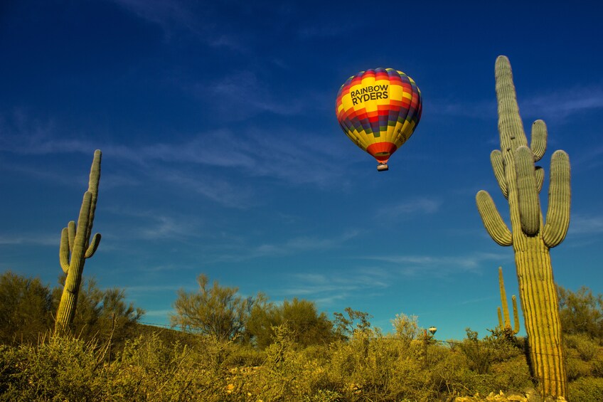 Sonoran Desert Sunset Hot Air Balloon Ride