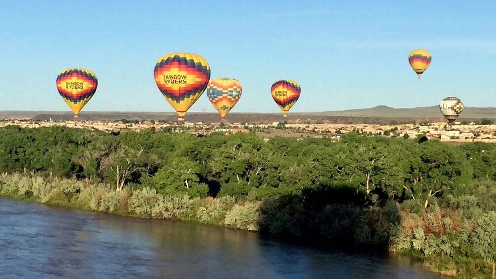 Group of hot air ballons over the trees along the riverbank in Albuquerque