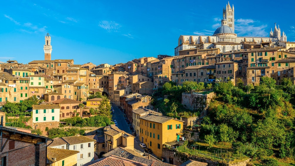 Panoramic view of Siena 