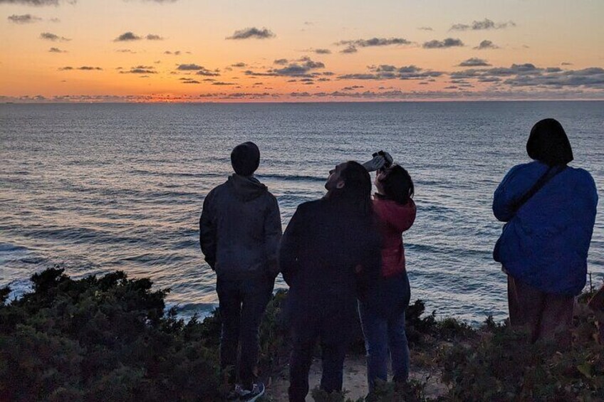 Private Half-Day Tour by Classic Car or Electric jeep in Sintra