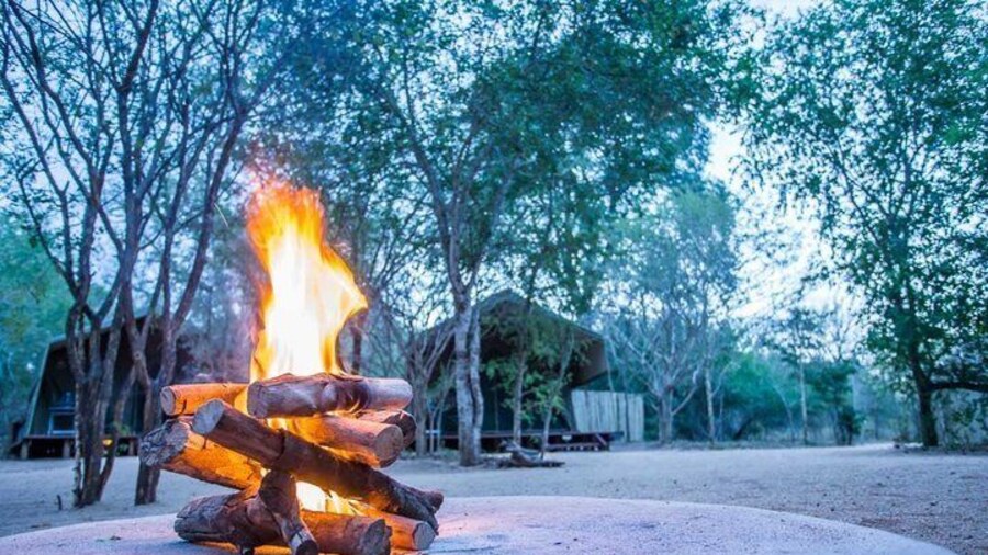 Sabi Sands Reserve Express Safari 5 days/ 4Nights