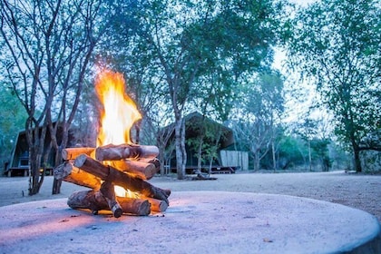 Sabi Sands Reserve Express Safari 5 days/ 4Nights ( Comfort)